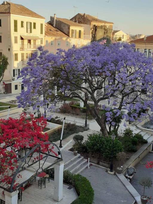 Old Town Corfu Romantic Studio Manto Nymfes Daire Dış mekan fotoğraf