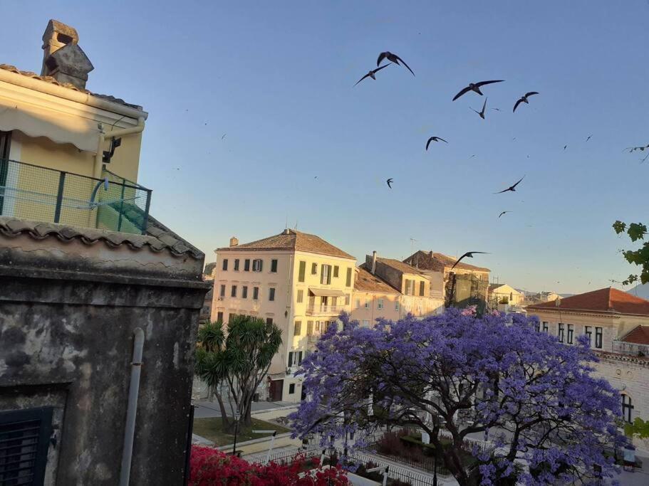 Old Town Corfu Romantic Studio Manto Nymfes Daire Dış mekan fotoğraf